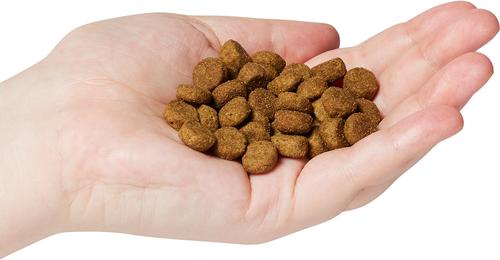 Show full view: Purpose Free-Range Grain-Free Chicken Recipe with Postbiotics Dry Dog Food, 4.5-lb bag slide 4 of 4