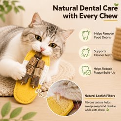 Purr Harbor Natural Loofah Silvervine Stick Gall Fruit, Flip-Flop Dental Teething Chew Cat Toy, Yellow slide 2 of 6