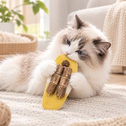 Purr Harbor Natural Loofah Silvervine Stick Gall Fruit, Flip-Flop Dental Teething Chew Cat Toy, Yellow