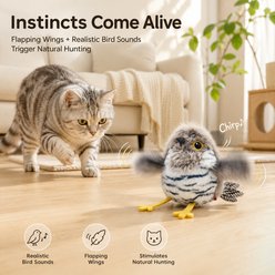 Purr Harbor Rechargable Flapping Wing Cuckoo Bird Squeaky Motion Cat Toy, Gray slide 2 of 6