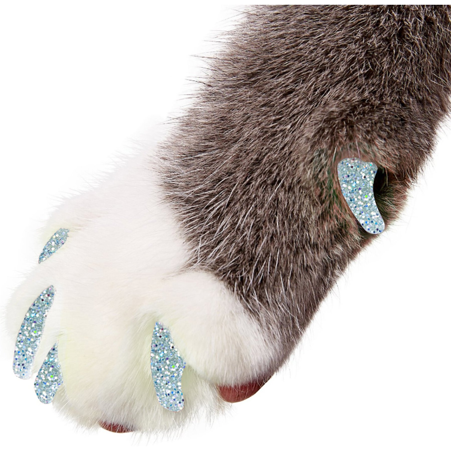 Purrdy Paws Purrdy Paws Soft Cat Nail Caps, 20 count, Silver Holographic Glitter, Kitten