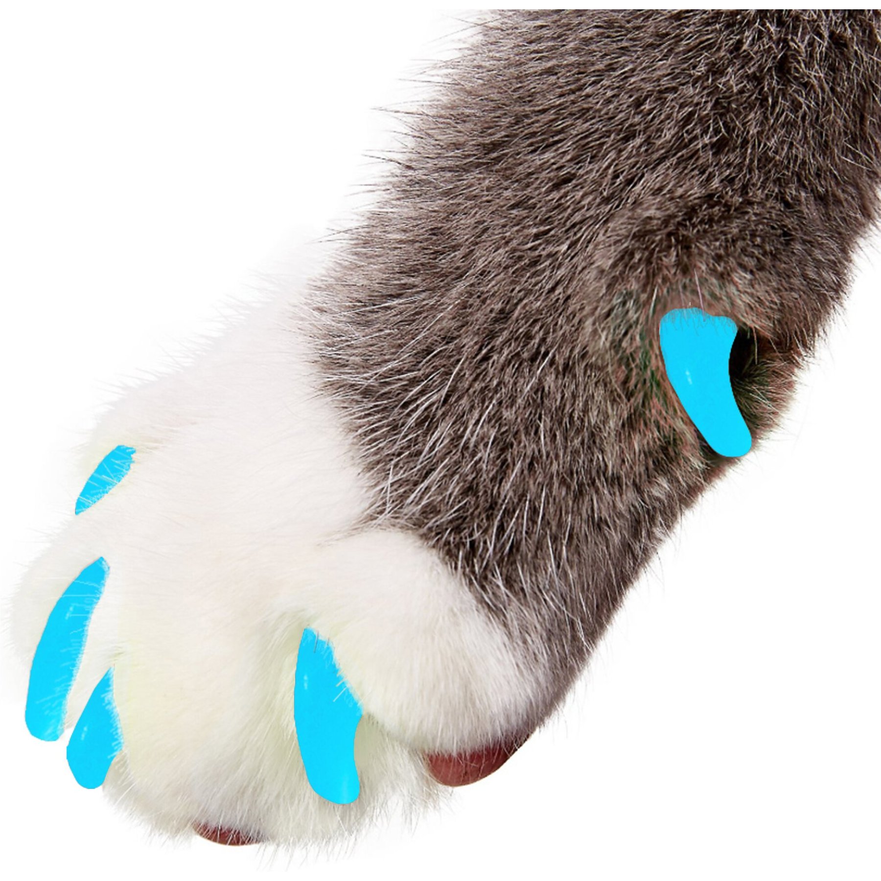 Purrdy Paws Soft Cat Nail Caps, 40 count, Blue Glow in the Dark, Small