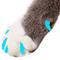 Show in main carousel: Purrdy Paws Soft Cat Nail Caps, 40 count, Blue Glow in the Dark, Small slide 1 of 11