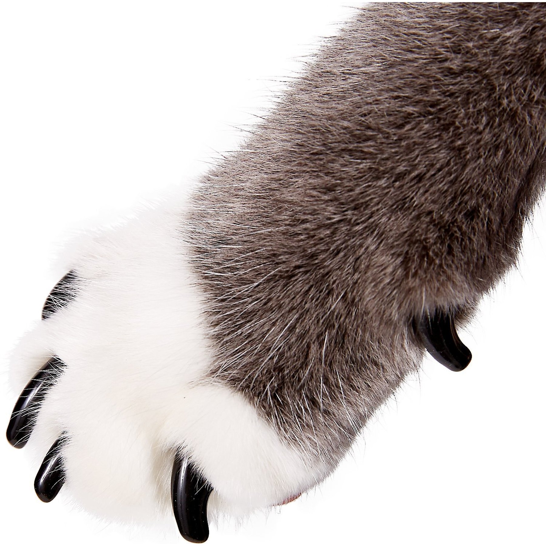 Purrdy Paws Soft Cat Nail Caps, 40 count, Large, Black
