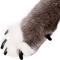 Show in main carousel: Purrdy Paws Soft Cat Nail Caps, 40 count, Medium, Black slide 1 of 11