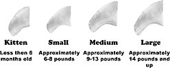 Purrdy Paws Soft Cat Nail Caps, 40 count, Medium, Clear slide 2 of 8
