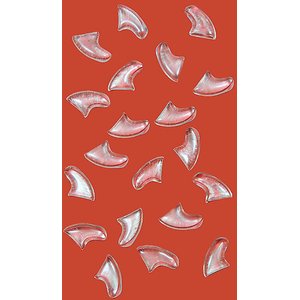 Purrdy Paws Soft Cat Nail Caps, 40 count, Medium, Clear