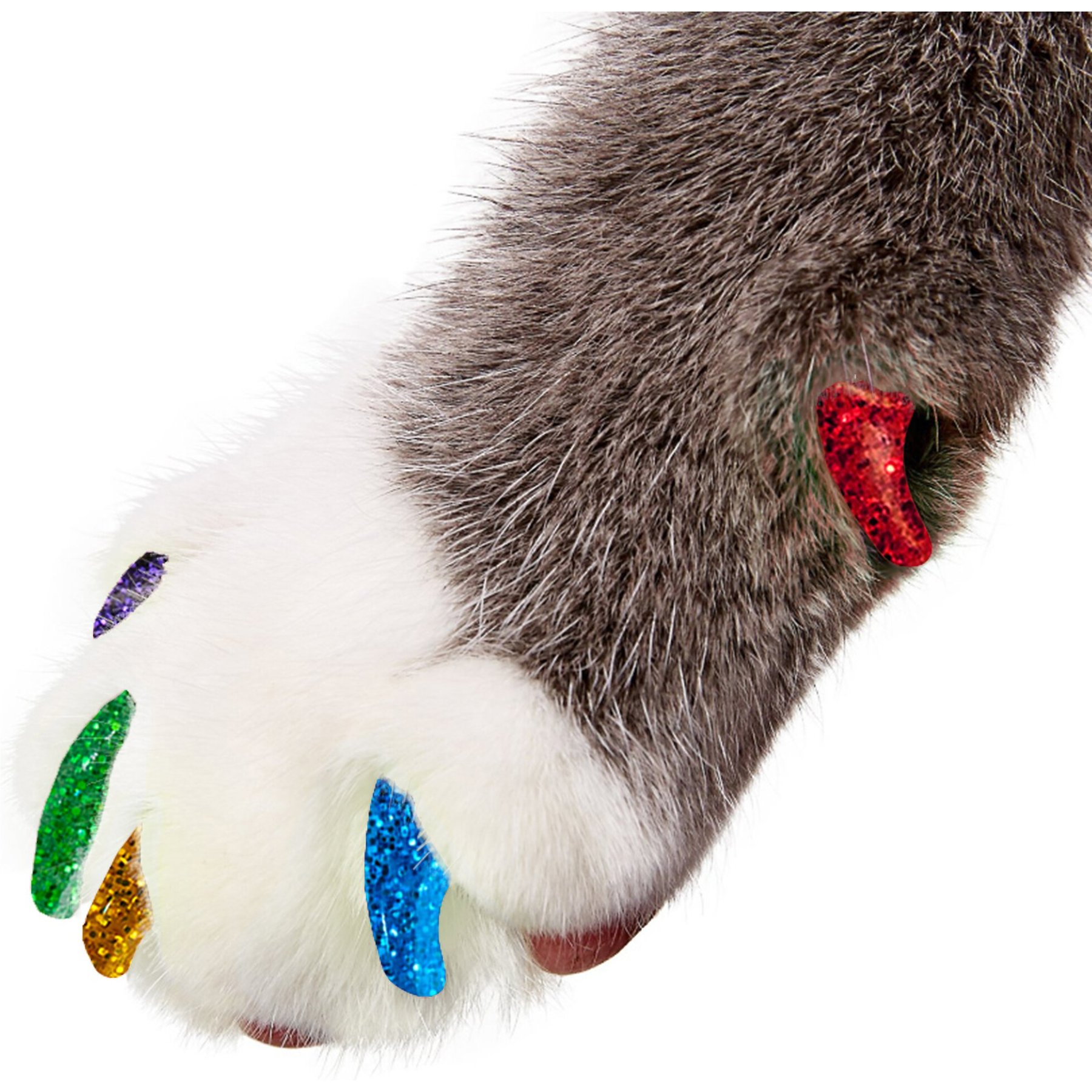 Purrdy Paws Soft Cat Nail Caps, 40 count, Rainbow Glitter, Large