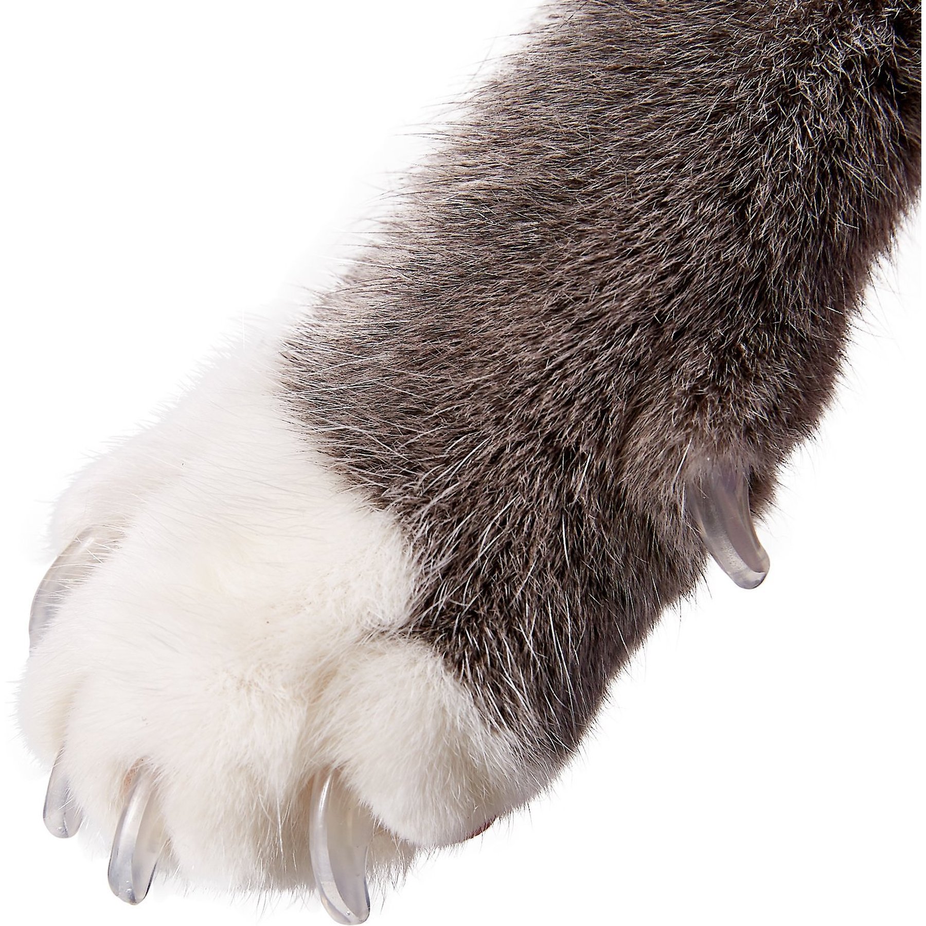 Purrdy Paws Soft Cat Nail Caps, 40 count, Small, Clear