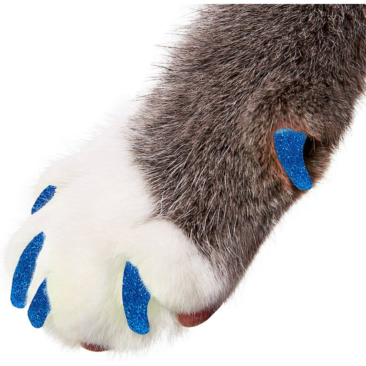 Purrdy Paws Soft Cat Nail Caps, Blue Glitter, Large, 20 count