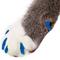Show in main carousel: Purrdy Paws Soft Cat Nail Caps, Blue Glitter, Large, 20 count slide 1 of 11