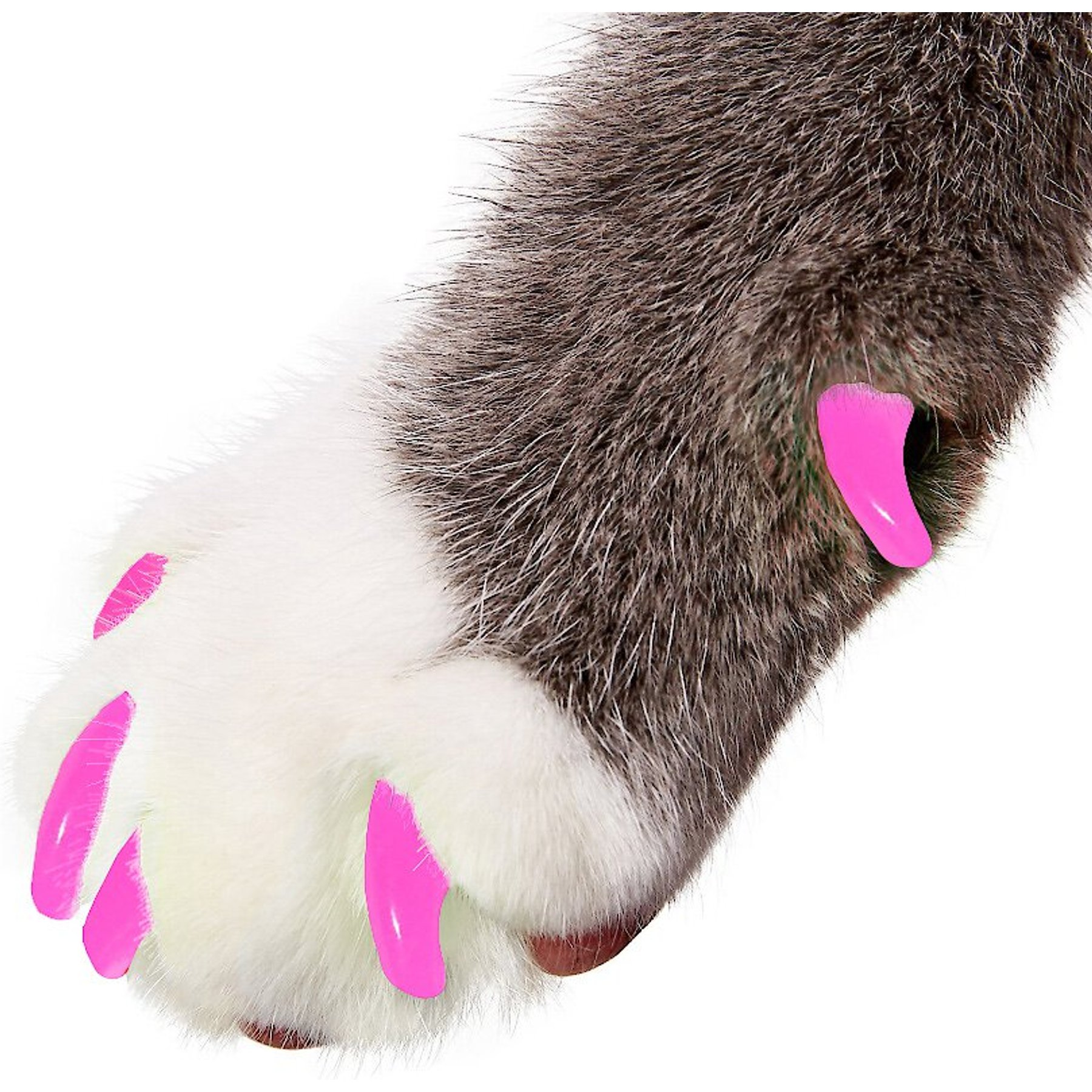 Purrdy Paws Soft Cat Nail Caps, Lipstick Pink, Large, 20 count
