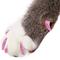 Show in main carousel: Purrdy Paws Soft Cat Nail Caps, Pink Glitter, Small, 20 count slide 1 of 10