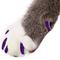 Show in main carousel: Purrdy Paws Soft Cat Nail Caps, Purple Glitter, Small, 40 count slide 1 of 10