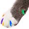 Show in main carousel: Purrdy Paws Soft Cat Nail Caps, Rainbow, Small, 20 count slide 1 of 10
