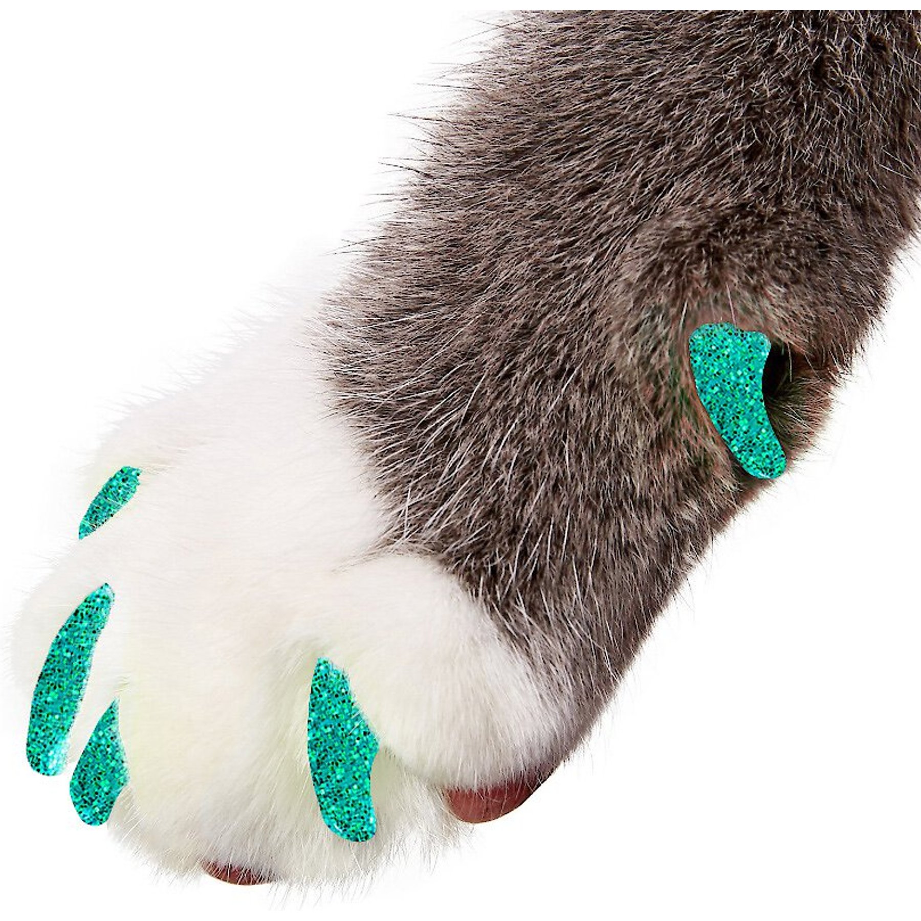 Purrdy Paws Soft Cat Nail Caps, Seafoam Glitter, Medium, 20 count