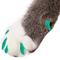 Show in main carousel: Purrdy Paws Soft Cat Nail Caps, Seafoam Glitter, X-Small, 20 count slide 1 of 10