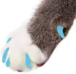 Purrdy Paws Soft Cat Nail Caps, Sky Blue, Medium, 40 count