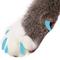 Show in main carousel: Purrdy Paws Soft Cat Nail Caps, Sky Blue, Medium, 40 count slide 1 of 10