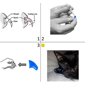 Purrdy Paws Soft Cat Nail Caps, Sky Blue, Medium, 40 count