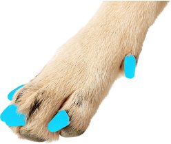 Purrdy Paws Soft Dog Nail Caps, 20 count, Blue Glow in the Dark, X-Large