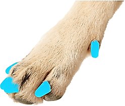 Purrdy Paws Soft Dog Nail Caps, 20 count, Blue Glow in the Dark, XX-Large