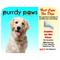 Show in main carousel: Purrdy Paws Soft Dog Nail Caps, 20 count, Jumbo, Clear slide 8 of 13