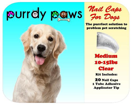 Show full view: Purrdy Paws Soft Dog Nail Caps, 20 count, Medium, Clear slide 8 of 13