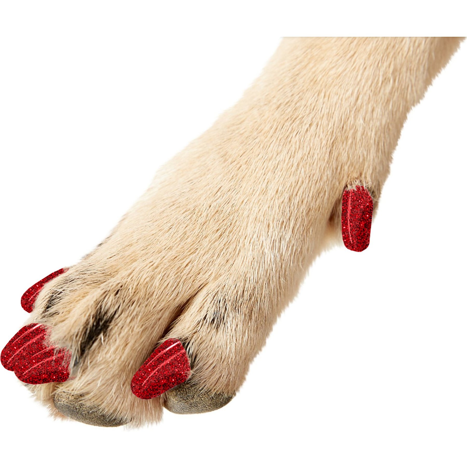 Purrdy Paws Soft Dog Nail Caps, 20 count, Ruby Red Glitter, Small