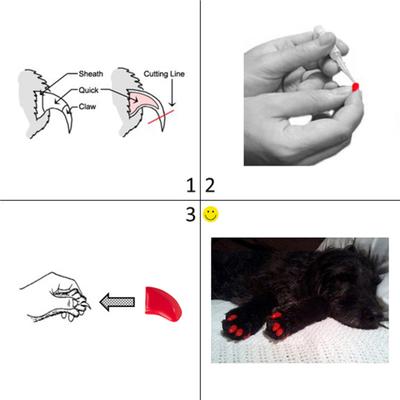 Show full view: Purrdy Paws Soft Dog Nail Caps, 20 count, Ruby Red Glitter, XX-Large slide 5 of 11