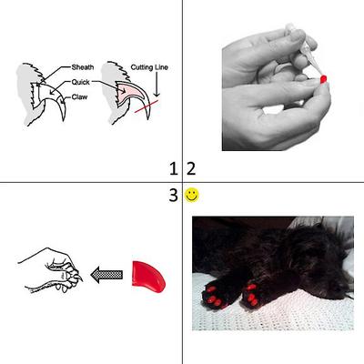 Show full view: Purrdy Paws Soft Dog Nail Caps, 20 count, X-Large, Clear slide 4 of 13