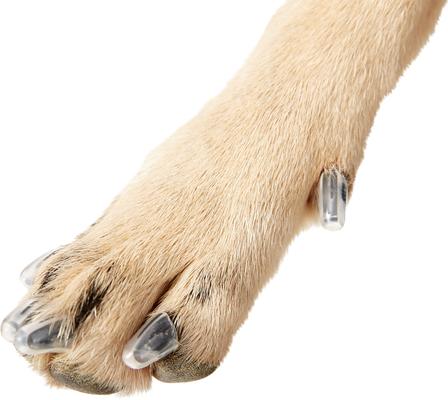 Show full view: Purrdy Paws Soft Dog Nail Caps, 40 count, X-Large, Clear slide 8 of 12