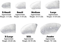 Purrdy Paws Soft Dog Nail Caps, 40 count, XX-Large, Clear slide 2 of 8