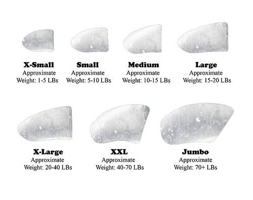 Show full view: Purrdy Paws Soft Dog Nail Caps, 40 count, XX-Large, Clear slide 2 of 12