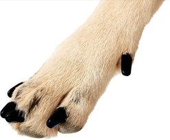 Purrdy Paws Soft Dog Nail Caps, Black, XX-Large, 40 count