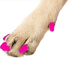 Purrdy Paws Soft Dog Nail Caps, Lipstick Pink, Medium, 20 count