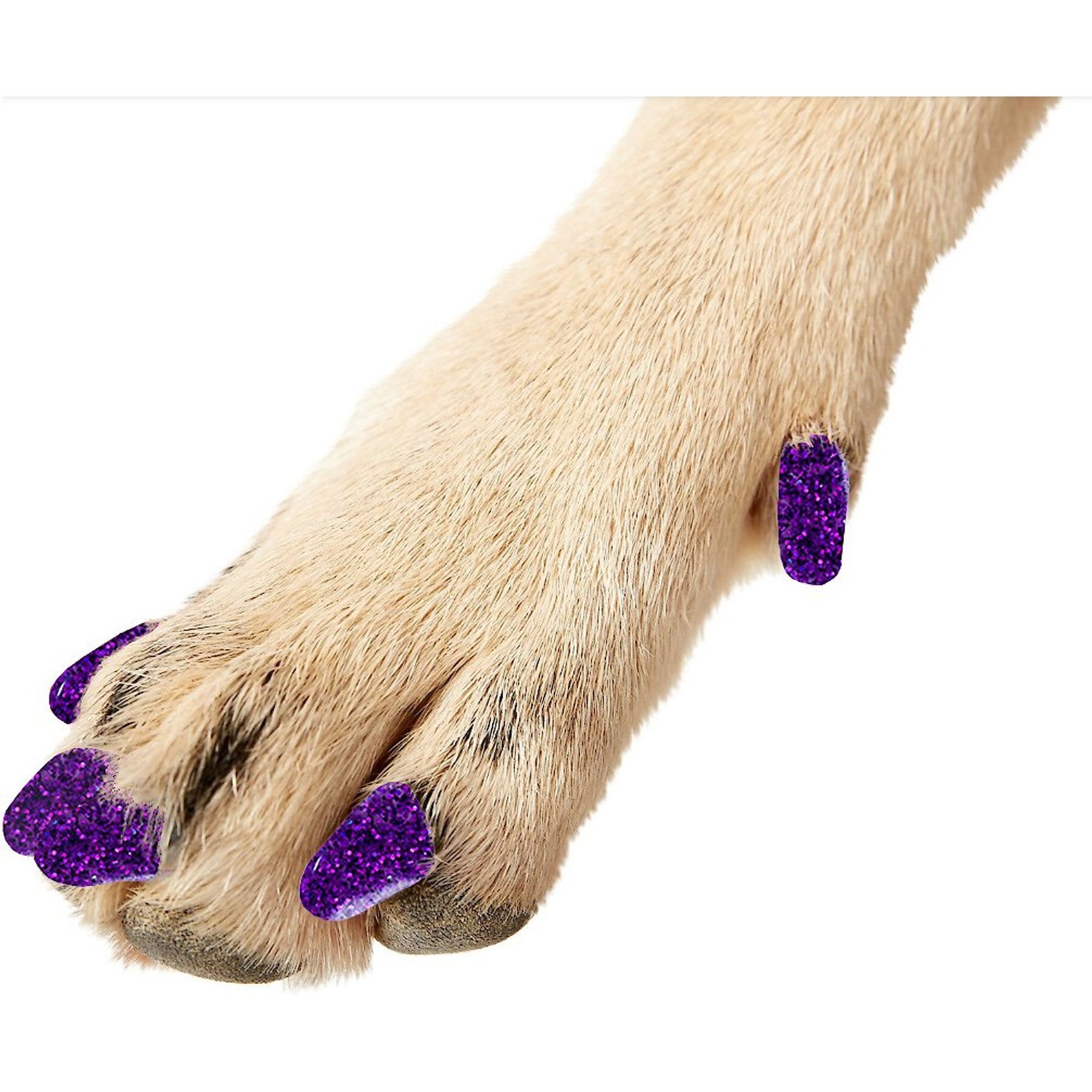 Purrdy Paws Soft Dog Nail Caps, Purple Glitter, XXX-Large, 40 count