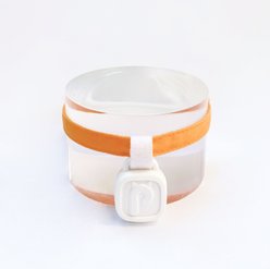 PurrSong LavvieTAG Health Fitness Tracker Cat ID Tag with Strap, 1 count