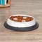 Show in main carousel: QT Dog Brake-Fast Non-Skid Stainless Steel Dog & Cat Bowl, 2-cup slide 4 of 7