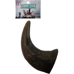 QT Dog Buffalo Hornz Water Buffalo Horn Dog Treat, Large