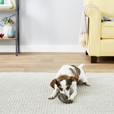 Show full view: QT Dog Buffalo Hornz Water Buffalo Horn Dog Treat, Small slide 4 of 9