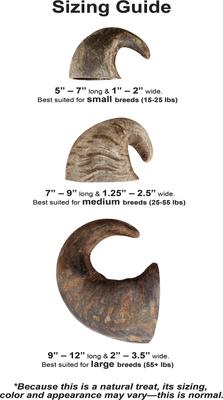 Show full view: QT Dog Buffalo Hornz Water Buffalo Horn Dog Treat, Small slide 6 of 9