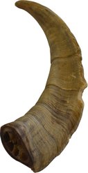 QT Dog Gobi Goat Horn Chew Dog Treat, Large slide 2 of 3