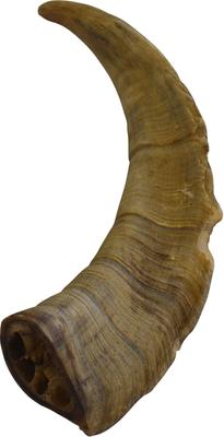 Show full view: QT Dog Gobi Goat Horn Chew Dog Treat, Large slide 3 of 5