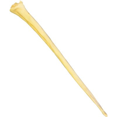 QT Dog QT Dog Steer Jerky Full Beef Tailz Dog Treat, 1 count
