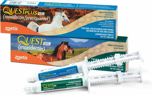 Show full view: QUEST Gel Dewormer & Boticide, 0.5-fl oz syringe + QUEST PLUS Gel Dewormer & Boticide for Horses & Ponies, 0.5-fl oz syringe slide 1 of 9