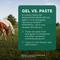 Show in main carousel: QUEST Gel Dewormer & Boticide for Horses & Ponies, 2 count slide 5 of 9