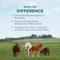 Show in main carousel: QUEST Gel Dewormer & Boticide for Horses & Ponies, 4 count slide 6 of 9