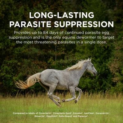 Show full view: QUEST Gel Dewormer & Boticide for Horses & Ponies, 4 count slide 2 of 9