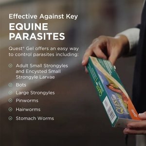 QUEST Gel Moxidectin Dewormer & Boticide for Horses & Ponies, 0.5-fl oz syringe